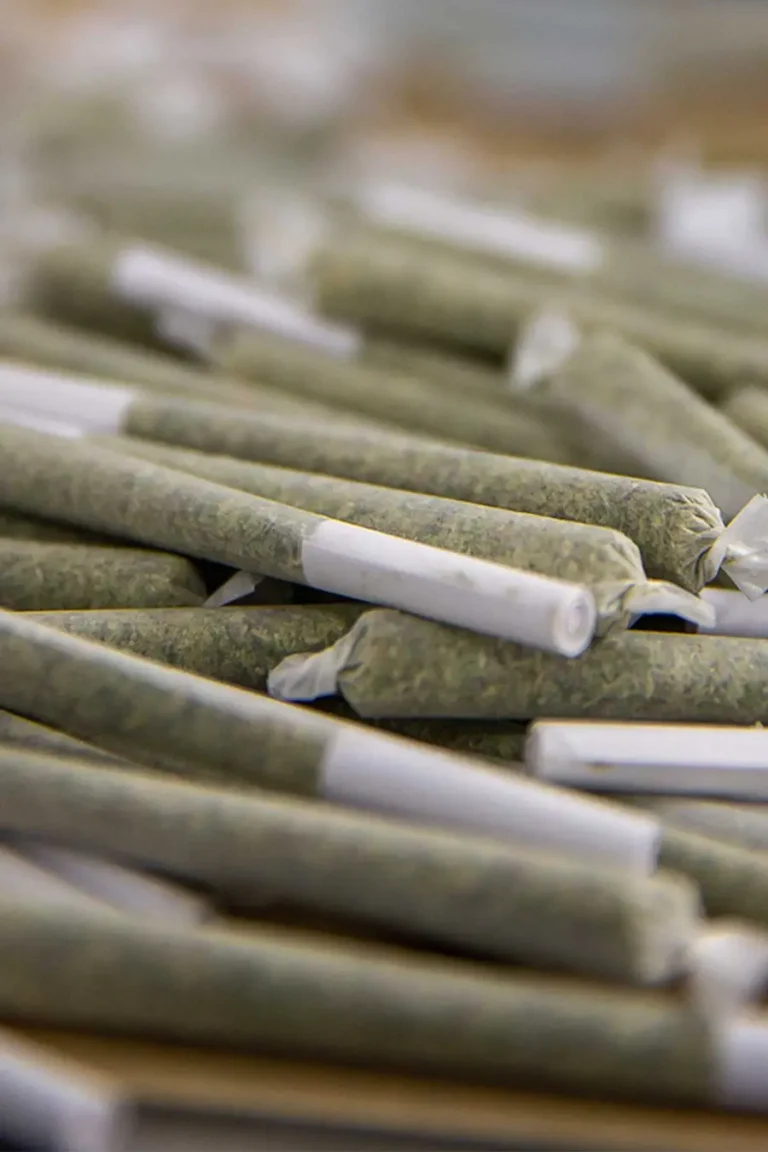 Prerolls 768x1152